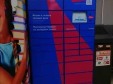 автоматизированный пункт выдачи OZON Box в Краснокамске