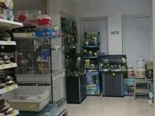 зоомагазин Какаду в Гурьевске