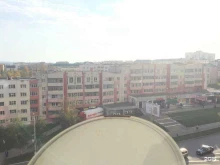 служба доставки SPB в Саранске