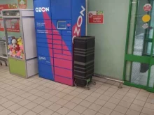 автоматизированный пункт выдачи Ozon box в Домодедово