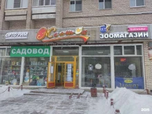 магазин Желток в Санкт-Петербурге