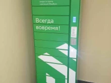 постамат СберЛогистика в Тосно