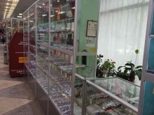 Контактные линзы Салон оптики в Коврове