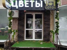 цветочный магазин Lotos в Ставрополе