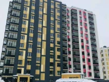 Радость моя, Тюльпанов, 1 к3 