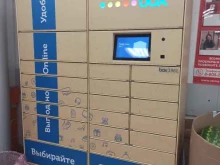 автоматизированный пункт выдачи Ozon Box в Екатеринбурге
