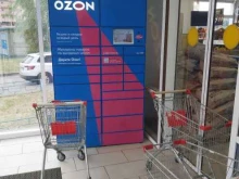 Постамат №7380 Ozon box в Ярославле