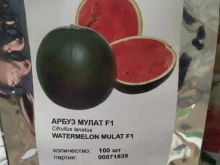 Семена / Посадочный материал Магазин овощных семян в Ставрополе