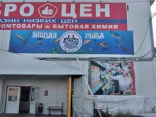 магазин живой рыбы и живых раков Удачная Рыбалка в Нижневартовске