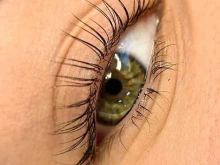 Lara Brows, Бебеля, 21 