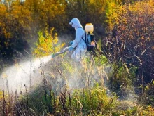 компания ДезЦентр Торнадо в Балашихе