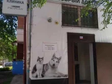 ветеринарная клиника Добрый доктор в Тюмени