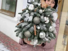 цветочный дом Blossom в Волгограде