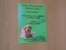 Амурская областная общественная организация Такса плюс в Благовещенске