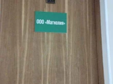 компания Магнолия в Нижнем Новгороде