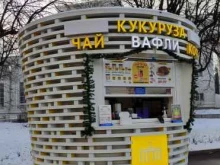 Киоск по продаже сахарной ваты и вареной кукурузы, проспект Мира (ВДНХ), 119 ст2 киоск 