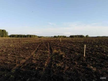 геодезическая компания Геодезис в Кемерово