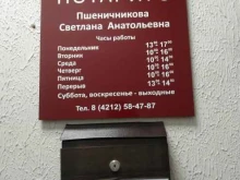 Нотариальные услуги Нотариус Пшеничникова С.А. в Хабаровске