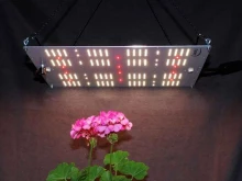 компания по производству светодиодных светильников Lumspace в Уфе
