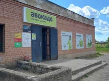 продуктовый магазин Авокадо в Кохме