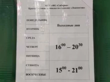 крытая ледовая площадка Локомотив в Братске