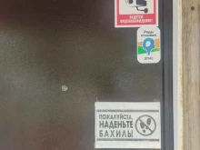 ветеринарная клиника Ветград в Арзамасе
