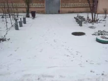 Жилищно-коммунальные услуги ТСЖ №21 в Саратове