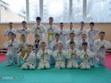 спортивная школа Рекорд в Тольятти
