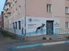 ветеринарная клиника Улан-Удэнская городская станция по борьбе с болезнями животных в Улан-Удэ