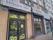 ИП Порох А.О. Цветочная лавка в Калининграде