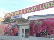 Подарочная упаковка Оптовая база цветов в Красноярске