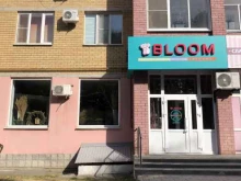 цветочный магазин Bloom в Тамбове