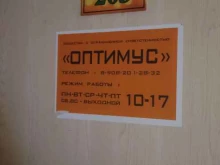 Сухие строительные смеси Оптимус в Красноярске