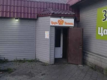 точка быстрого питания Царь-пышка в Междуреченске