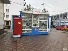 Киоск по продаже печатной продукции, Германа Лопатина, 3Б киоск 