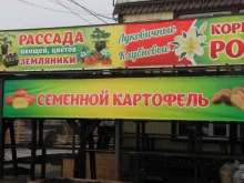 садовый дворик Лесная избушка в Кургане