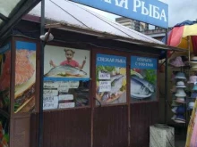 Рыбная лавка, Пионерская, 8 