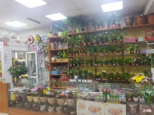 цветочный салон Глориоза в Чите