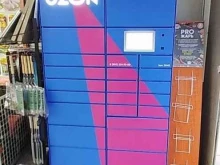 автоматизированный пункт выдачи Ozon box в Белоозёрском