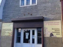 Семена / Посадочный материал Садовый магазин в Ставрополе