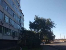 Дезинфекция / Дератизация / Дезинсекция СанЭпидемКонтроль в Благовещенске