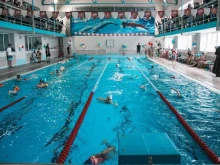 школа плавания RedSwimClub в Хабаровске