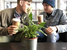 Dose of coffee to go, Кирова, 108 к3а 