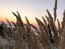 Кемпинги Black sea в Новороссийске