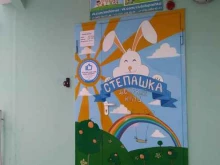 детский футбольный клуб Чемпионика в Балашихе
