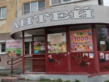 магазин Антей в Ревде