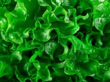киоск по продаже овощей Заря в Волгограде