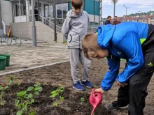 физкультурно-оздоровительный комплекс Тепсей в Абакане