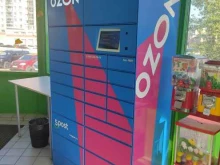 автоматизированный пункт выдачи OZON Box в Казани