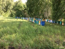 оптово-розничная медовая лавка Знатный мед в Омске